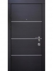 Входные двери Qdoors мод. горизонт AL